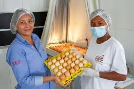 Granja Avícula São Pedro recebe Selo SIM e fortalece produção rural em Pindamonhangaba