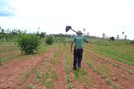 Conselho Rural discute ampliação de serviços de saúde para produtores em Pindamonhangaba