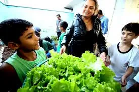 Programa Horta nas Escolas leva educação ambiental e práticas sustentáveis para estudantes de Caraguatatuba
