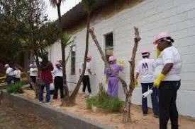 Fundo Social abre inscrições para cursos gratuitos de pintura residencial e jardinagem voltados para mulheres