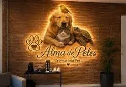 Crematório pet em Taubaté oferece despedida com cerimônia e acolhimento às famílias