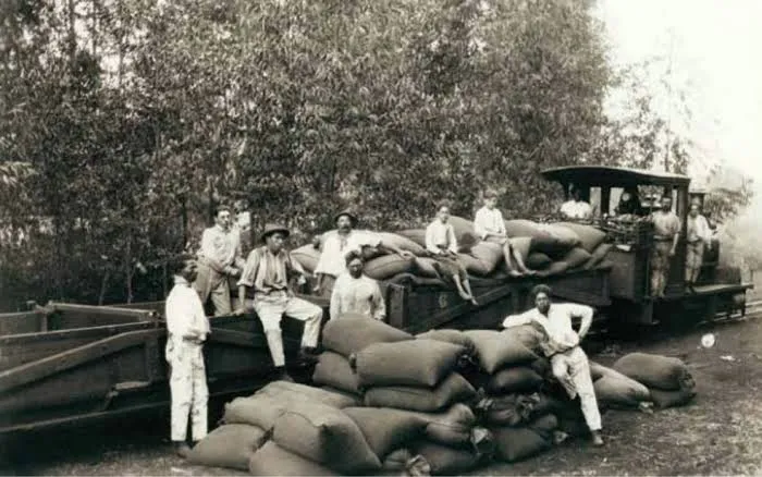 Fazenda histórica ajudou a transformar Ribeirão Preto em potência mundial do café