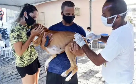 Taubaté realiza vacinação antirrábica gratuita para cães e gatos no Parque São Luiz