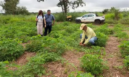 Desenvolvimento Rural amplia atendimento e realiza mais de 150 ações em apoio ao setor agropecuário