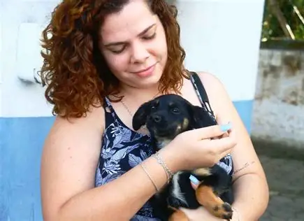 Feira de adoção busca encontrar novos lares para cães e gatos em Caraguatatuba