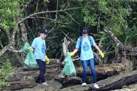 Programa Oxigena convida população para participar de ações ambientais em Guaratinguetá