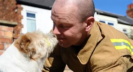 Bombeiro salva cachorro durante incêndio em oficina mecânica em Franca