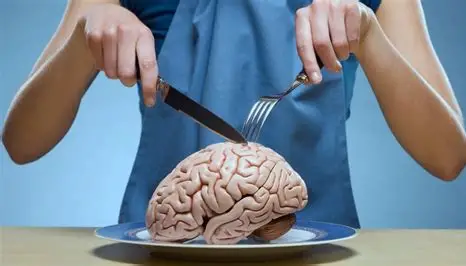 Cientistas explicam por que o canibalismo representa riscos à saúde humana