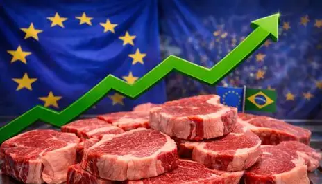 Brasil altera regras para exportação de carnes à União Europeia e busca evitar embargo