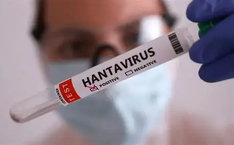 OMS confirma encerramento do surto de hantavírus ligado a cruzeiro que partiu da Argentina