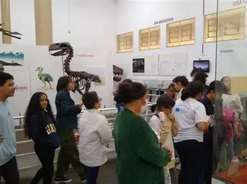 Museu de História Natural comemora aniversário com programação gratuita em Taubaté