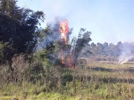 Prefeitura intensifica campanha contra queimadas e balões durante período de estiagem em Ubatuba