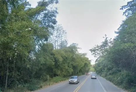 Corpo em estado de decomposição é encontrado às margens da Via Dutra em Lorena