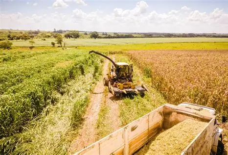 Recuperações extrajudiciais avançam no agro e expõem fragilidades na gestão de riscos e contratos