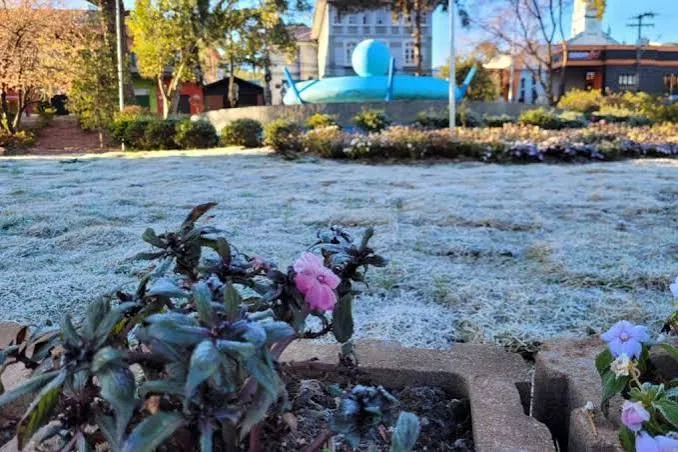 Campos do Jordão amanhece com geada e registra mínima de -3,9°C no feriado de 9 de Julho