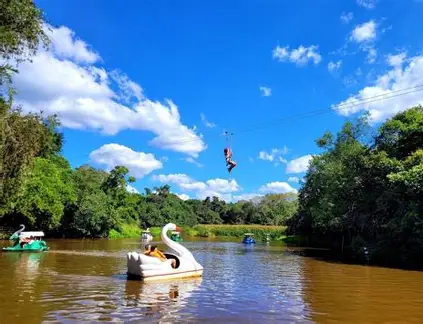 Férias de julho: confira opções de passeios e atrações para crianças em São Paulo
