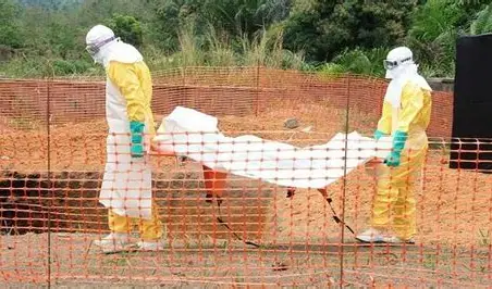 OMS alerta que dispõe de menos da metade dos recursos necessários para combater surto de Ebola