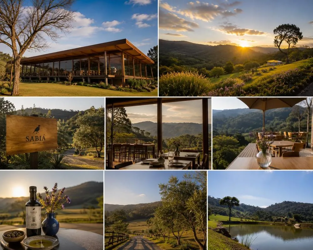 Fazenda do Azeite Sabiá coloca Santo Antônio do Pinhal entre os principais destinos de olivoturismo do Brasil
