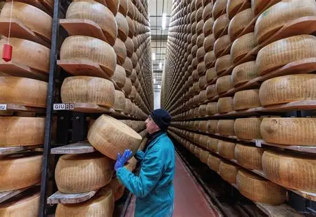 Ondas de calor ameaçam produção do tradicional queijo Parmigiano Reggiano na Itália