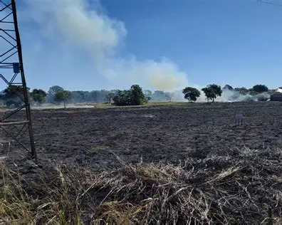 Incêndio de grandes proporções atinge área de mata às margens de rodovia em Campo Grande