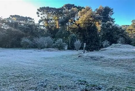 Geada volta a cobrir Campos do Jordão e transforma paisagem da cidade mais alta do Brasil