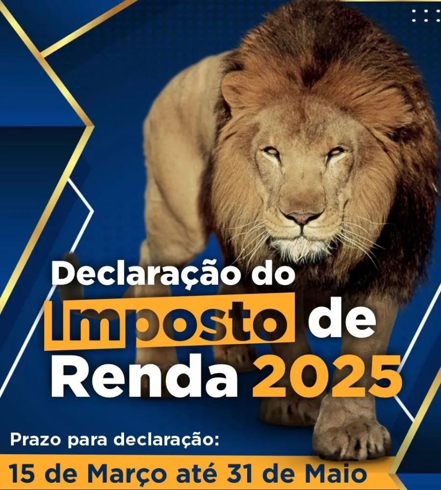 Imposto de Renda 2025: Faltam 10 dias para o fim do prazo; 20 milhões ainda não declararam.