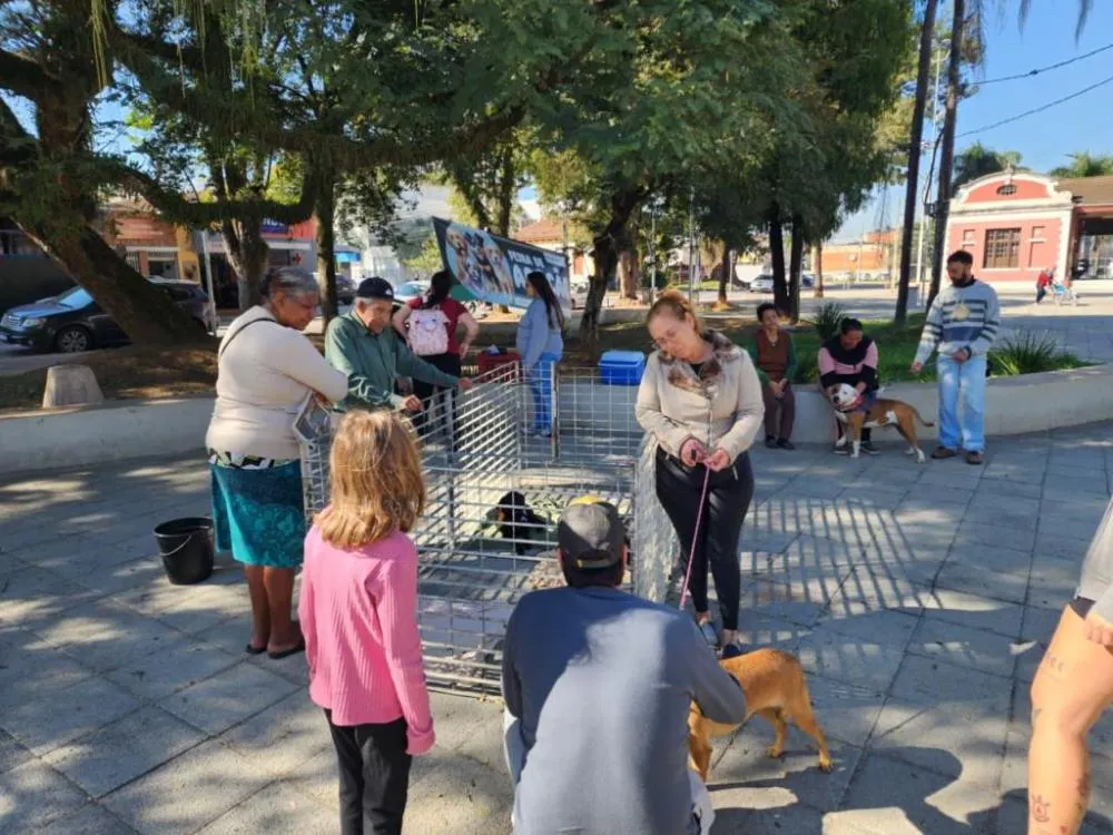 Horto Municipal de Tremembé recebe feira de adoção de animais neste sábado