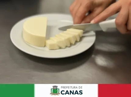 Curso gratuito ensina produção artesanal de queijo e valoriza economia local.