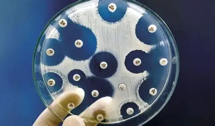 Cientistas da USP desenvolvem teste que identifica superbactérias em apenas seis horas