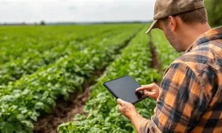 China busca reduzir dependência do agronegócio brasileiro e estratégia acende alerta entre produtores e exportadores