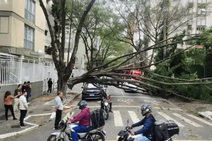 Mulher é atingida por árvore durante fortes rajadas de vento no interior de São Paulo