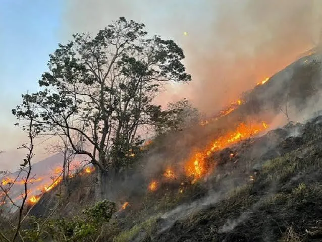 Tempo seco coloca Vale do Paraíba em alerta máximo para incêndios