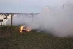 Incêndio destrói cerca de 15 mil metros quadrados de vegetação em Jacareí