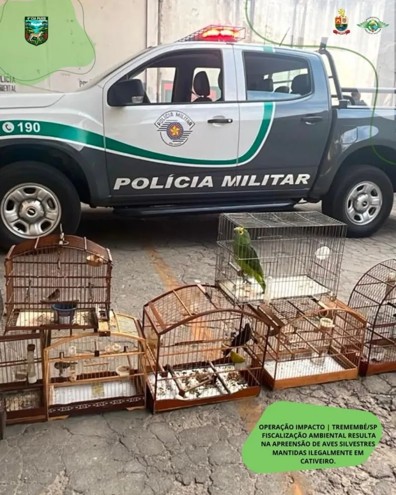Fiscalização encontra nove aves silvestres mantidas em cativeiro ilegal em Tremembé