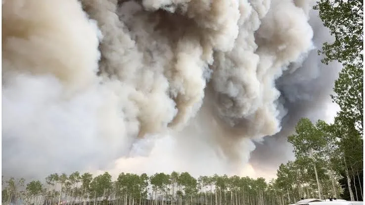 Fumaça de incêndios florestais pode causar impactos duradouros à saúde, alertam pesquisadores