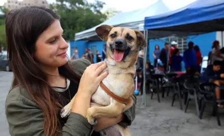 Conselho Municipal de Bem-Estar Animal abre inscrições para participação em Jacareí