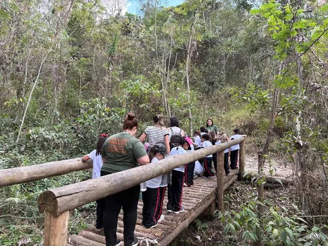 Viver o Viveiro terá oficina com fantoches de passarinhos, análise de águas e outras atrações em Jacareí