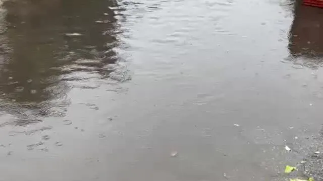 Defesa Civil emite alerta severo de chuva para Caraguatatuba e Santa Branca