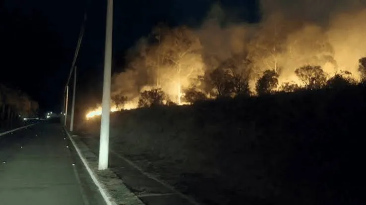 Incêndio destrói cerca de 2 mil metros quadrados de vegetação em Taubaté